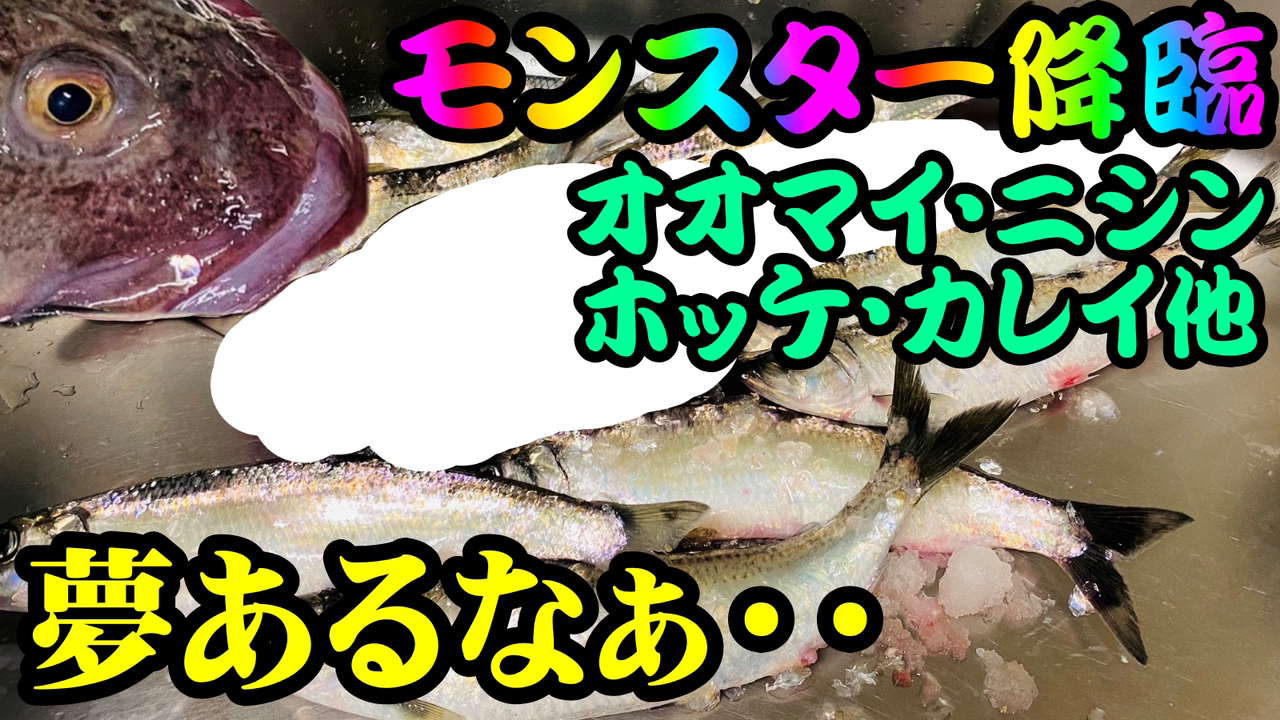 ニシン