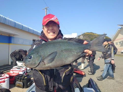 クチブトグレの釣果