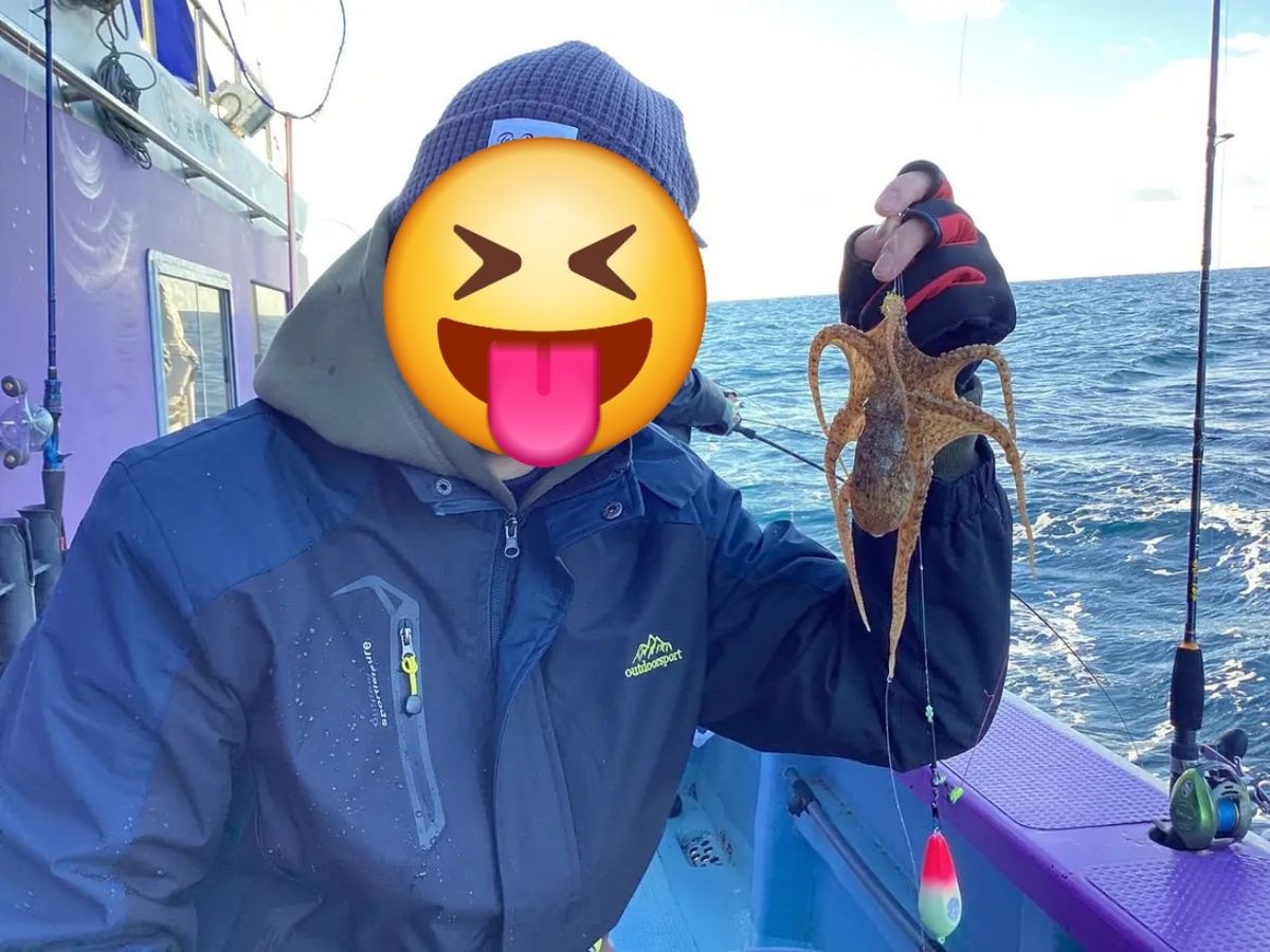 こーでぃーさんの釣果 2枚目の画像