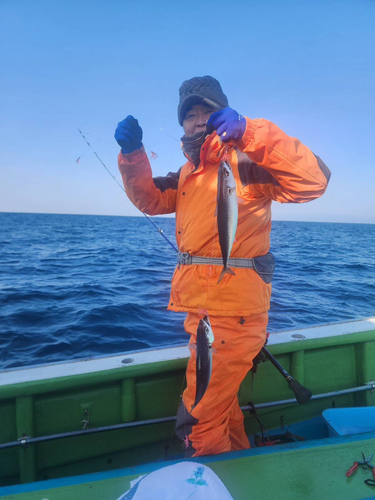 ブリの釣果