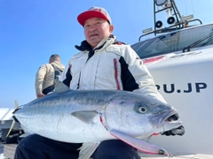 ヒラマサの釣果