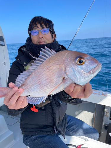 マダイの釣果