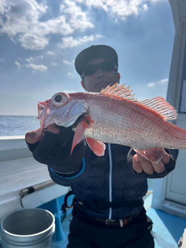 アカムツの釣果