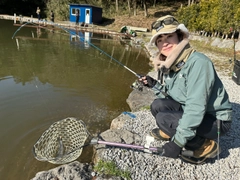 ニジマスの釣果