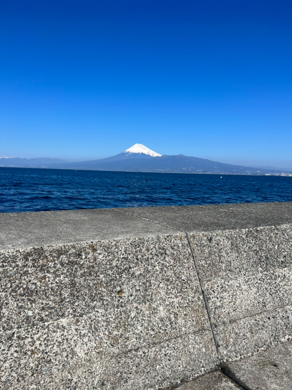 カタボシイワシ