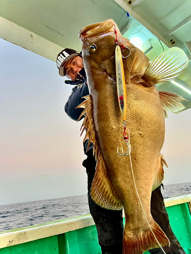 コモンハタの釣果