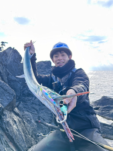 オキザヨリの釣果