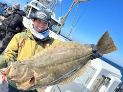 ヒラメの釣果