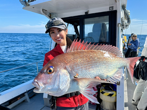 マダイの釣果