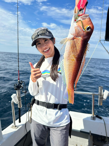 アマダイの釣果