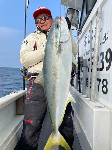 ヒラマサの釣果