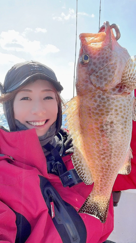 オオモンハタの釣果