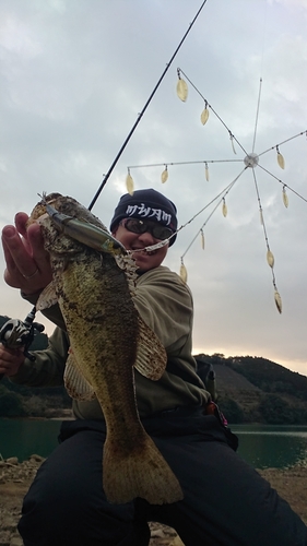 ブラックバスの釣果