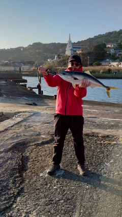 ヤズの釣果