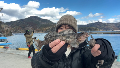 アイナメの釣果