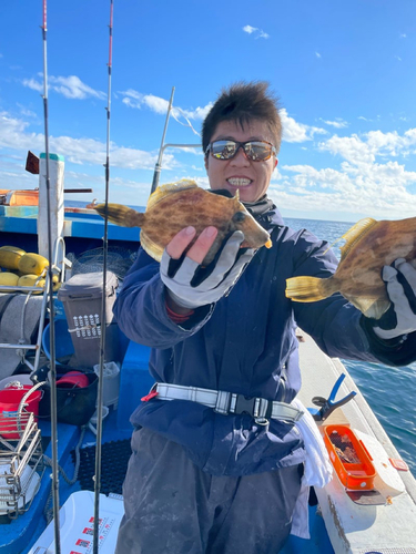 カワハギの釣果