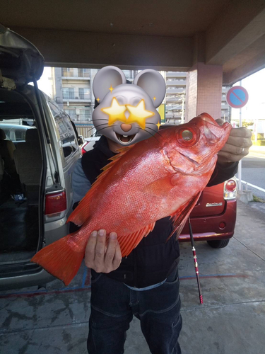 チカメキントキの釣果