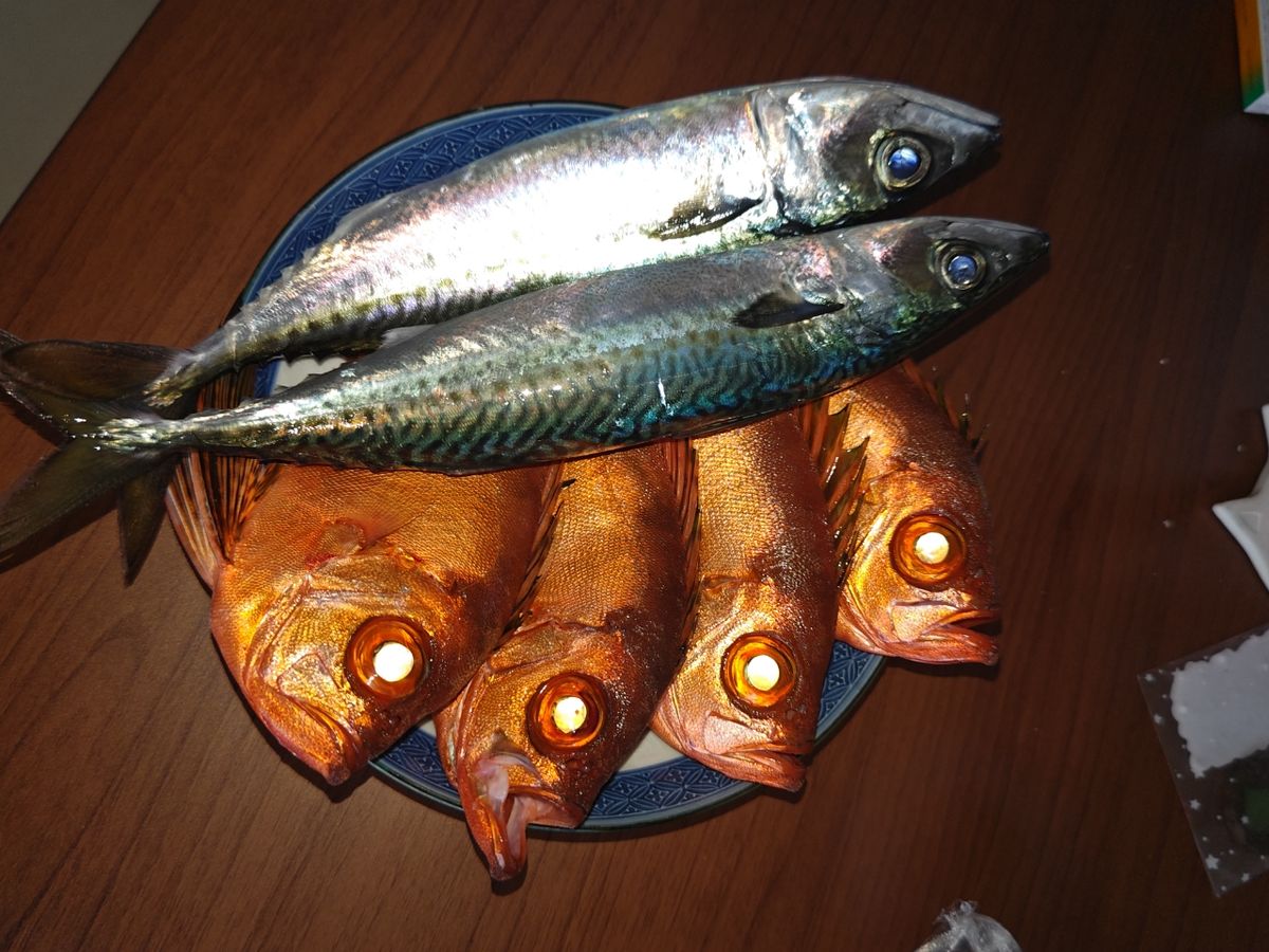 モツ煮込みさんの釣果 1枚目の画像