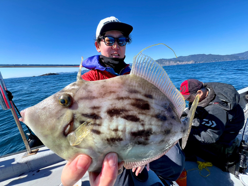 カワハギの釣果