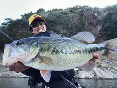 ブラックバスの釣果