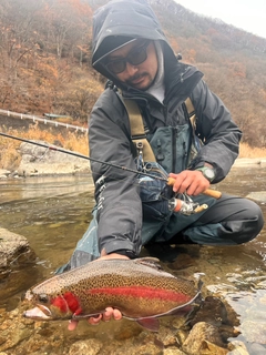 レインボートラウトの釣果