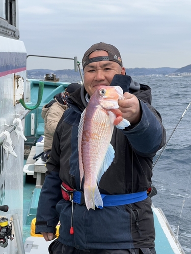 アマダイの釣果