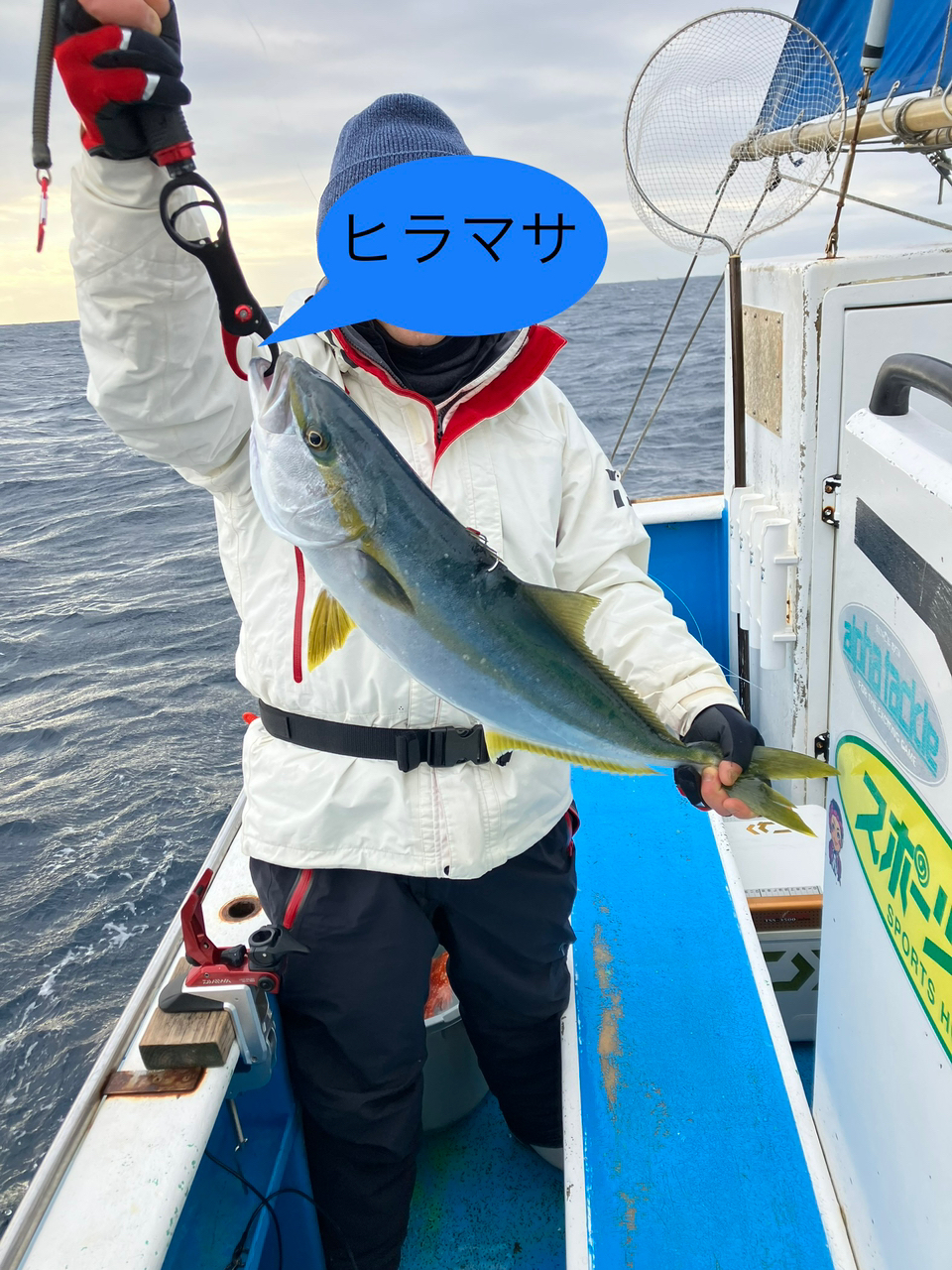 ヒラマサ