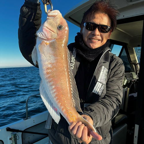 シロアマダイの釣果