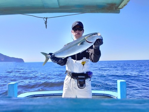 ハマチの釣果