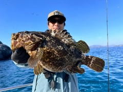 ベッコウゾイの釣果