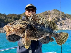 ベッコウゾイの釣果