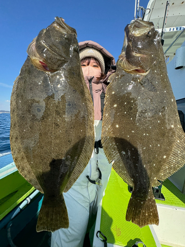 ヒラメの釣果