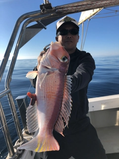 アマダイの釣果