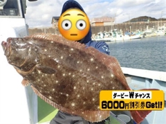 ヒラメの釣果