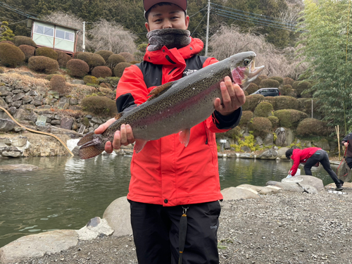 レインボートラウトの釣果