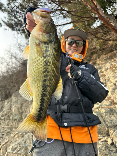 ブラックバスの釣果