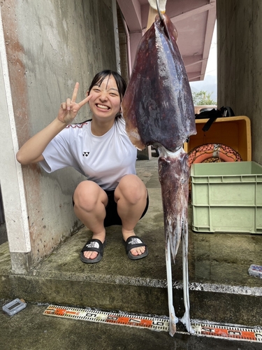 コブシメの釣果