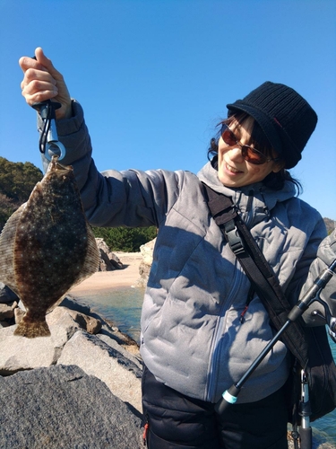 ヒラメの釣果