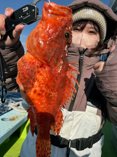 オニカサゴの釣果