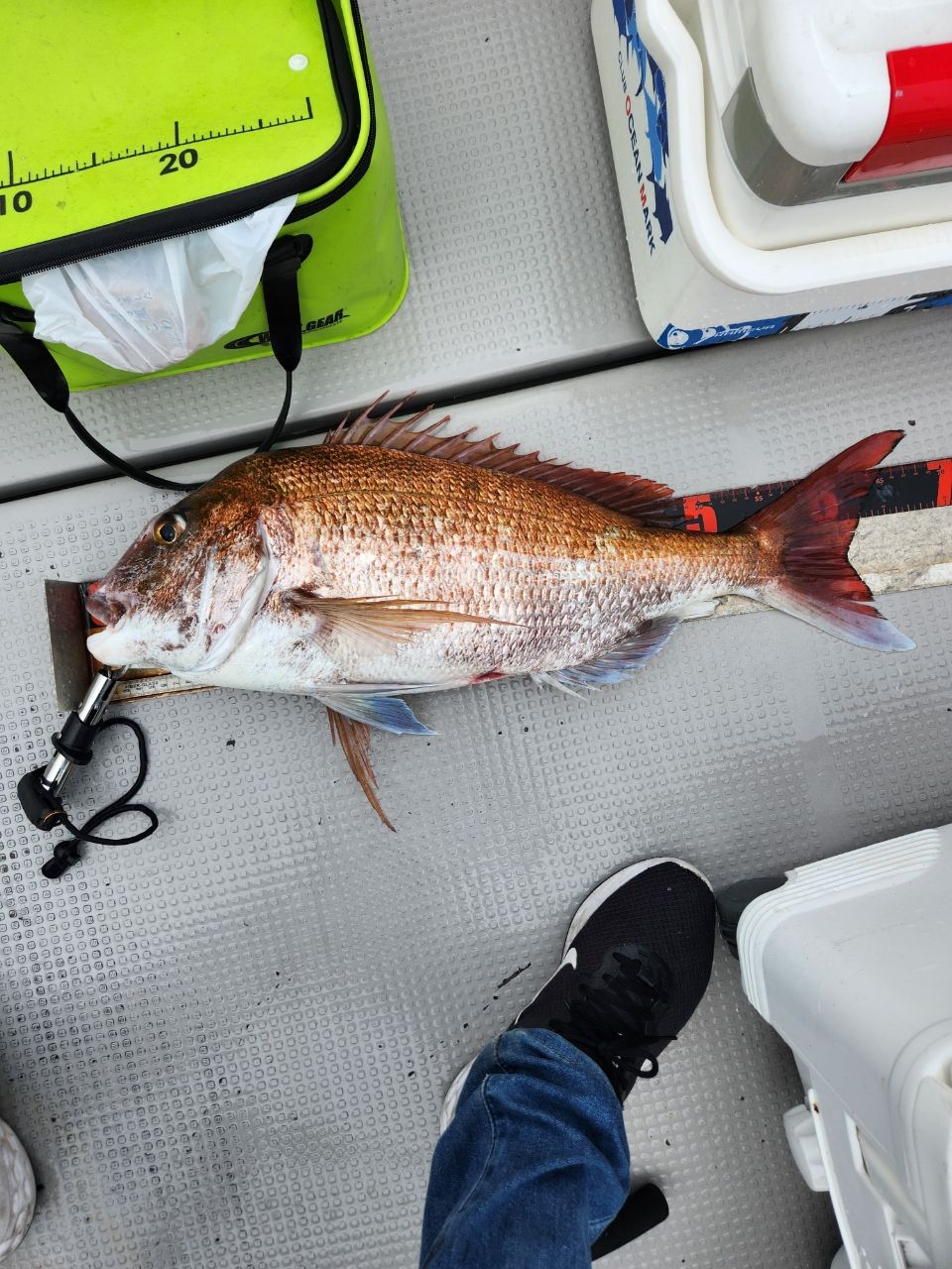 kei.turiさんの釣果 3枚目の画像