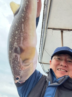 ショウサイフグの釣果