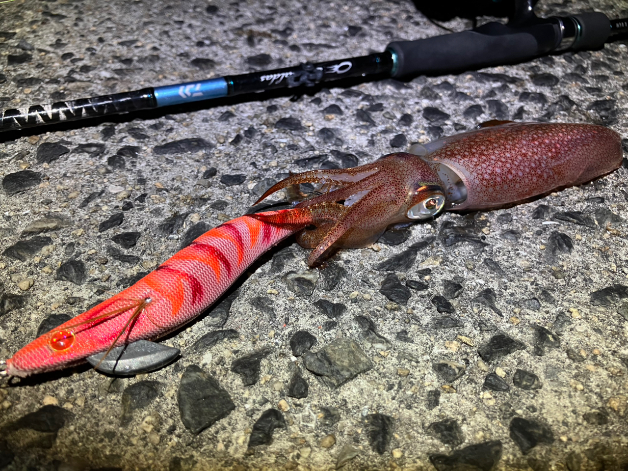 ○うなぎの釣り餌☆ドバミミズ大中Size100g+ひと摘み→３００円スタート☆アカハライモリ・ヒキガエル系カエルの生き餌にも(#^.^#)／☆＊* -  フィッシング