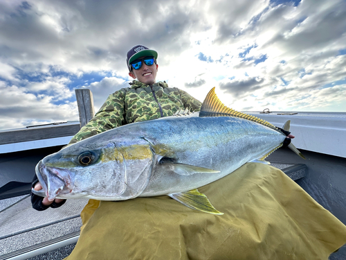 ヒラマサの釣果