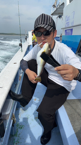 ショウサイフグの釣果