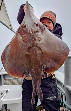 コモンカスベの釣果