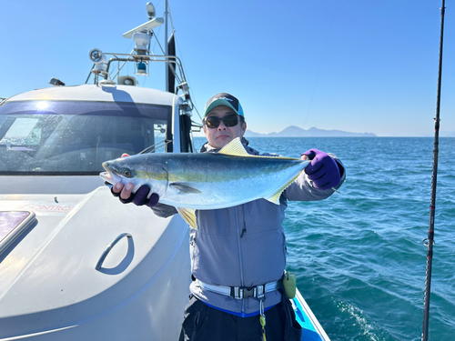 ハマチの釣果