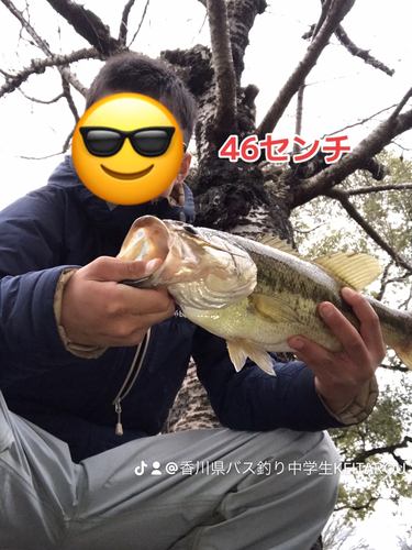 ブラックバスの釣果