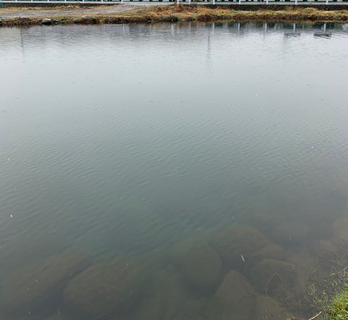 片品川国際マス釣場第二釣り場