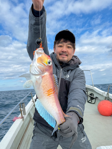 アカアマダイの釣果