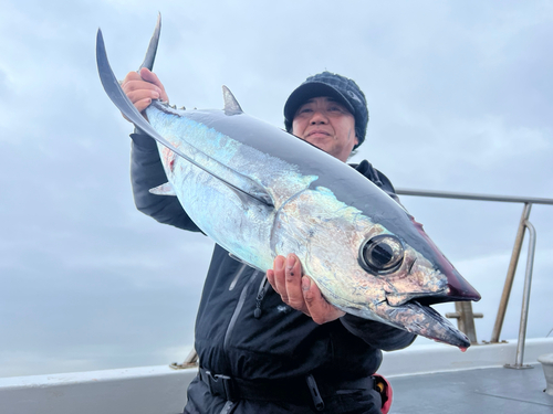 ビンチョウマグロの釣果